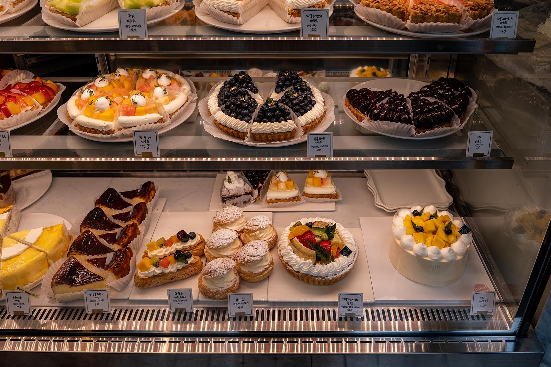 부산대 보노베리 쇼케이스