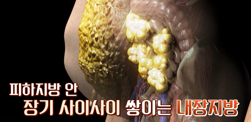 모로실