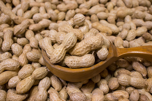 땅콩 효능과 부작용 및 칼로리