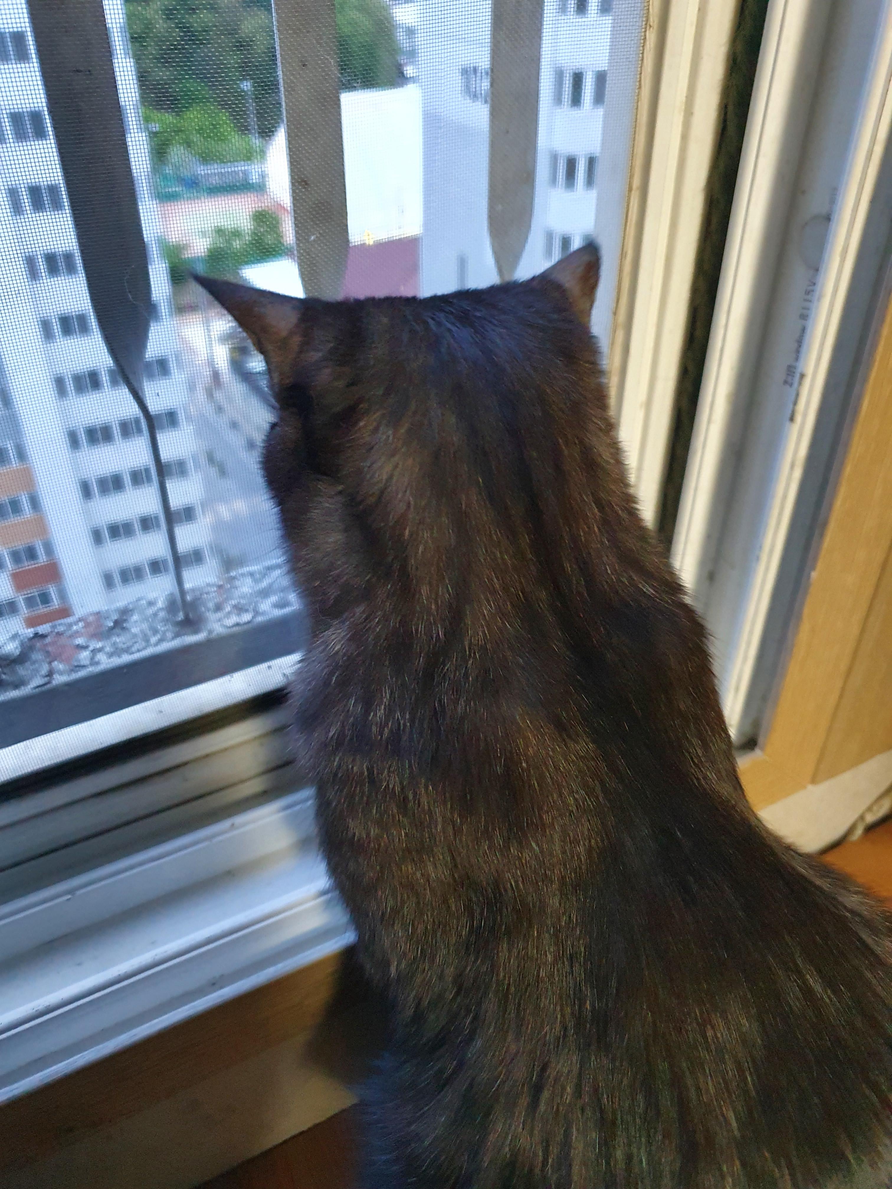 바깥 구경하는 태일이