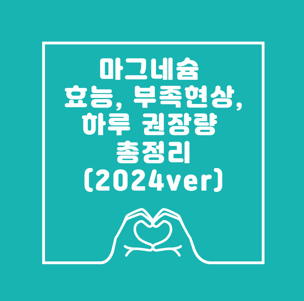 마그네슘 효능, 부족현상, 하루 권장량 총정리 (2024ver)
메인 키워드