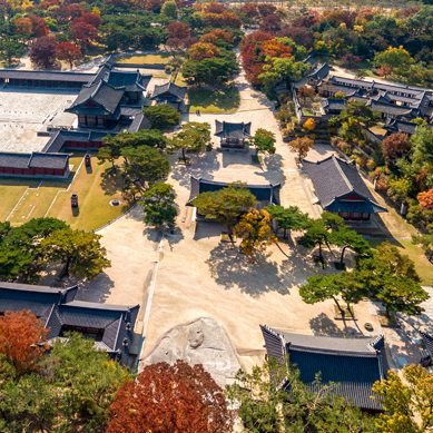 창경궁 야간개장