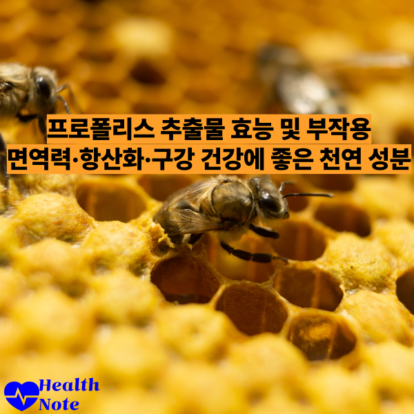 프로폴리스 추출물 효능 및 부작용 ❘ 면역력·항산화·구강 건강에 좋은 천연 성분