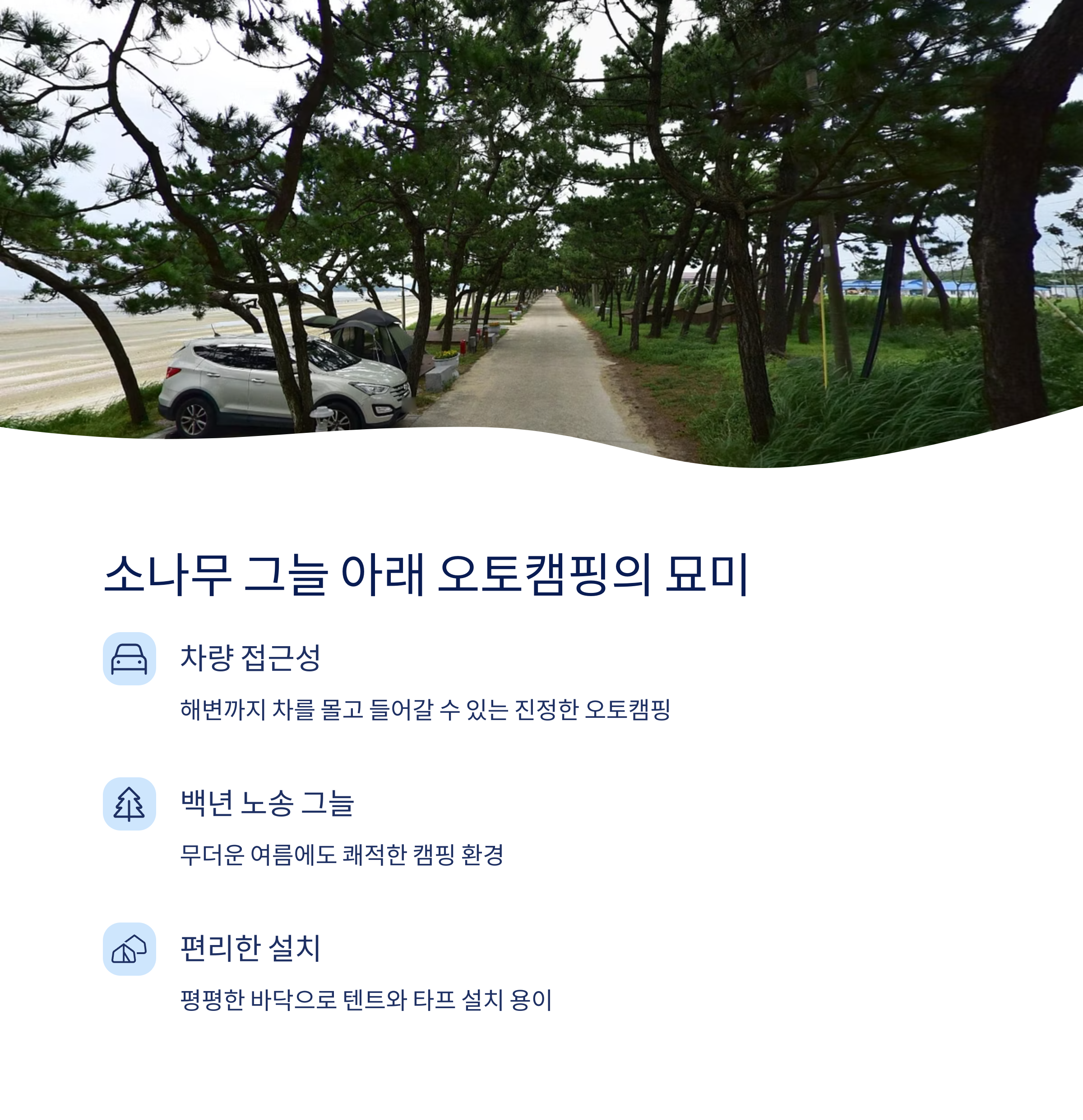 소나무 그늘 아래 오토캠핑