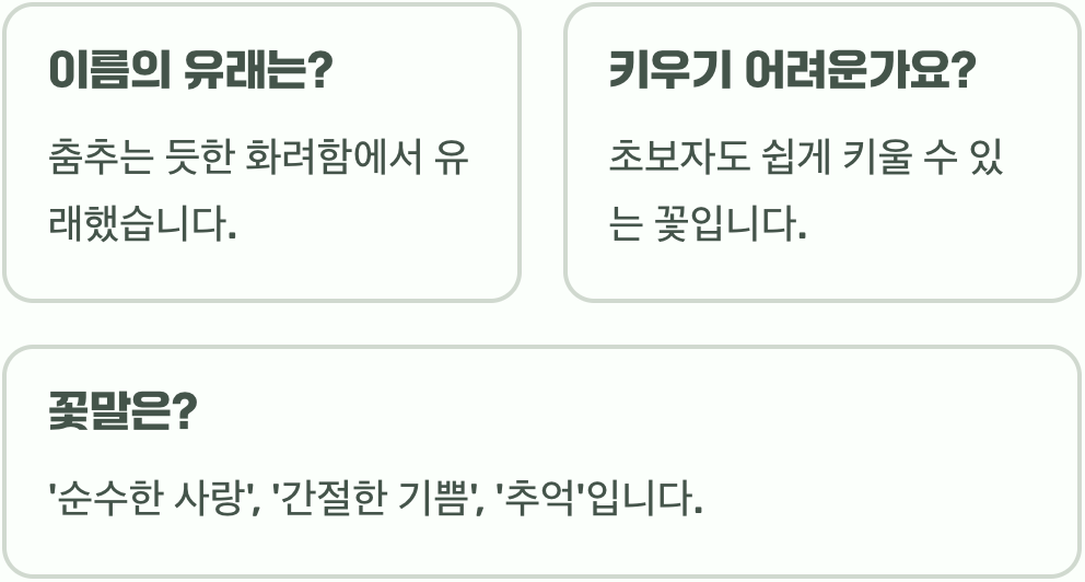 기생초 개화 시기, 언제부터 화려한 춤을 시작할까?