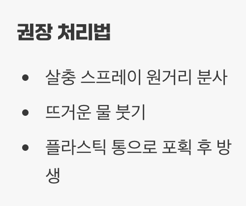 눈앞의 불청객, 절대 밟지 마세요!