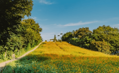 서울근교 단풍 명소 추천