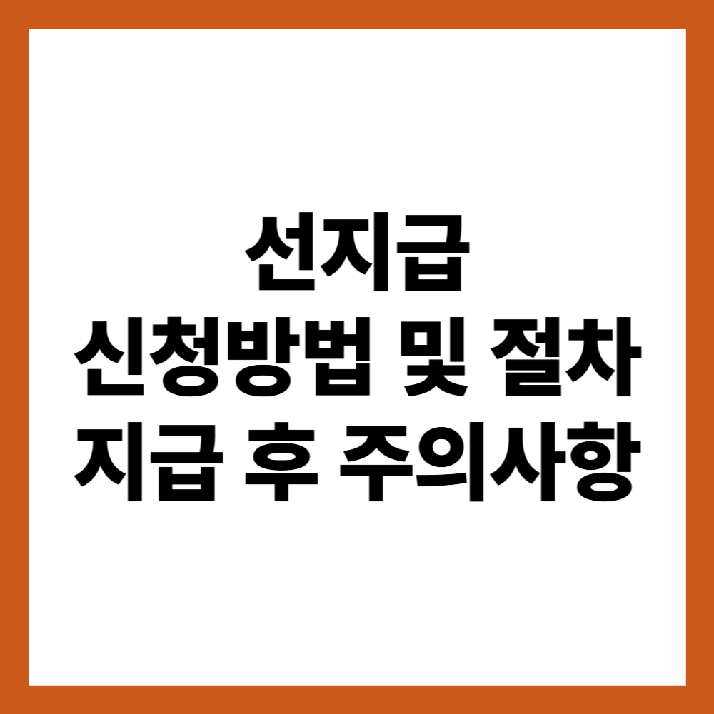 선지급 신청방법 및 절차 ( 지급 후 주의사항 )