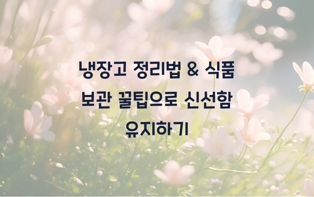 냉장고 정리법 & 오래 보관할 수 있는 식품 보관법