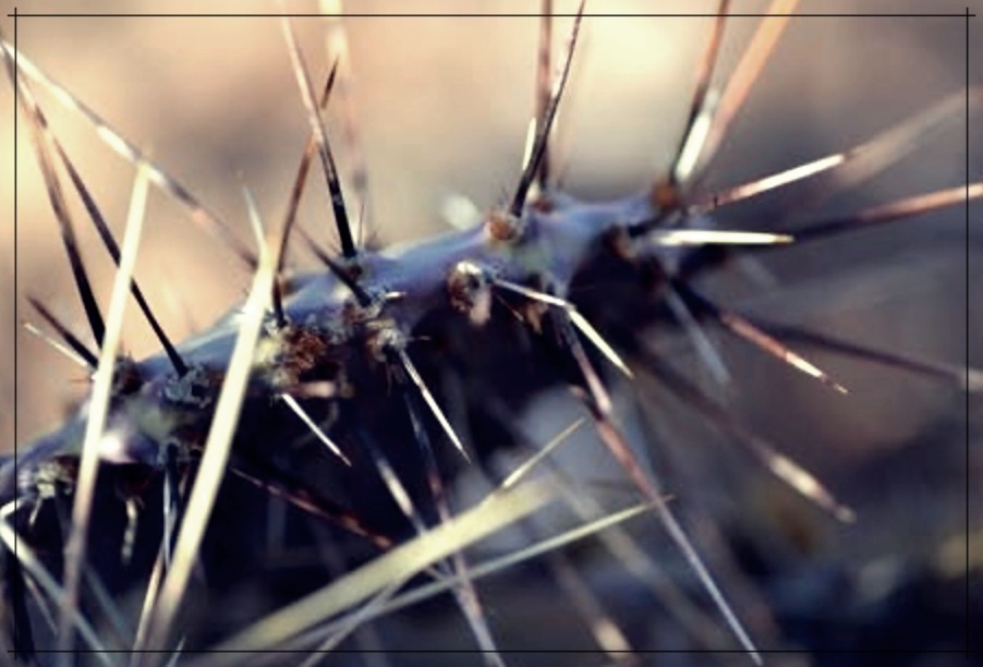 손가시빼는방법3가지