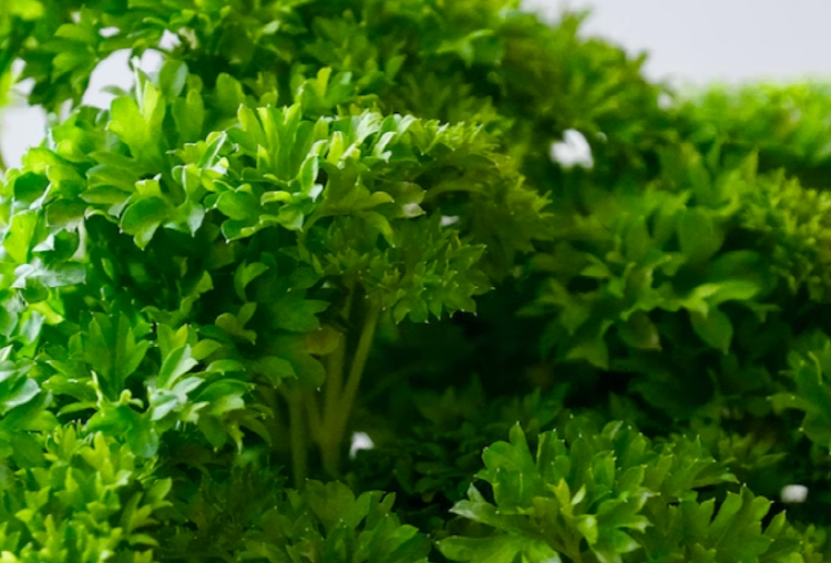 통풍에 해로운 음식