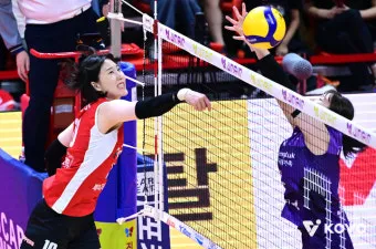 2025 2026 시즌 흥국생명 배구단 선수 명단 및 연봉 계약 FA 외국인 선수 정보 로스터 분석_19