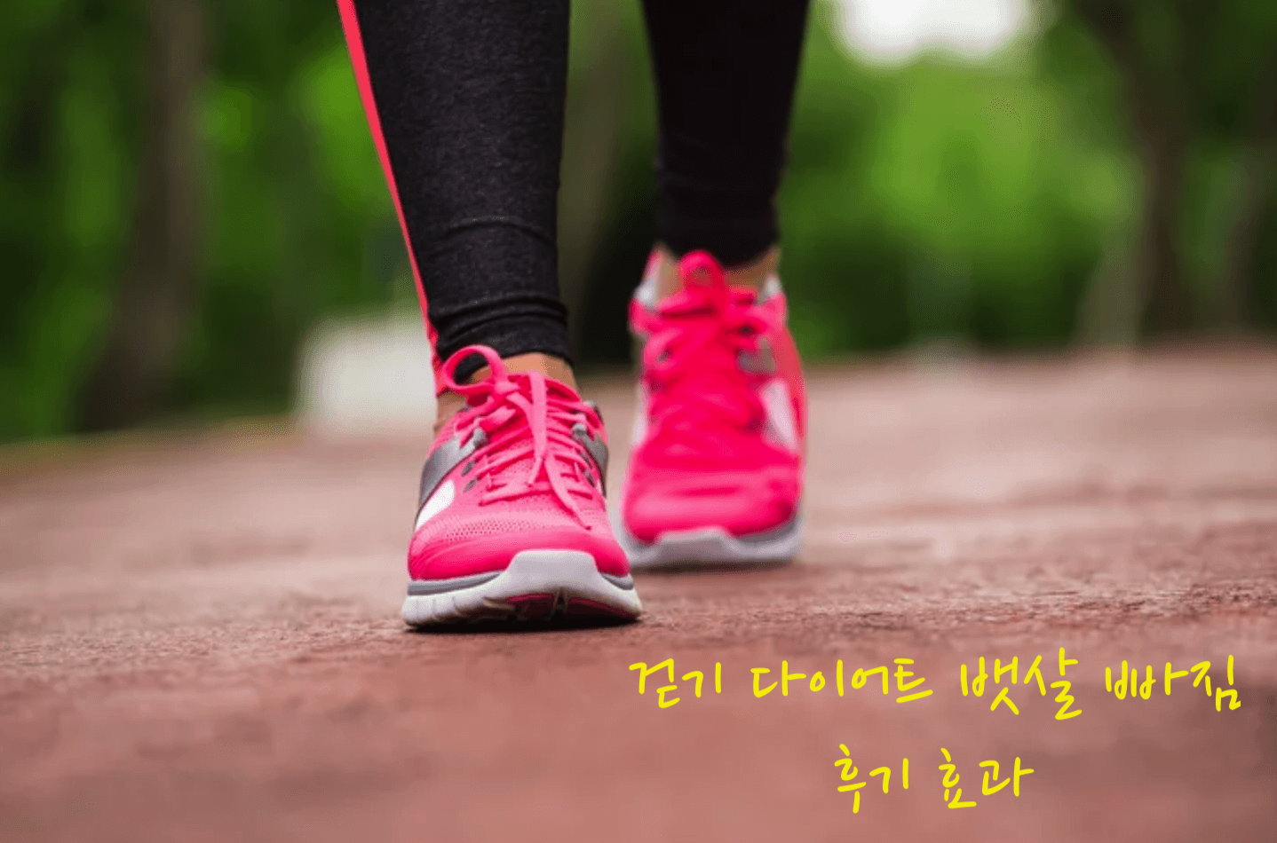 걷기 다이어트