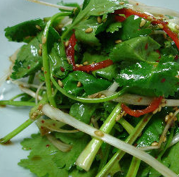 참나물 효능과 부작용 칼로리