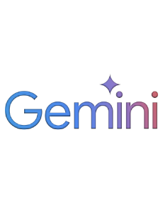 https://gemini.google.com/app