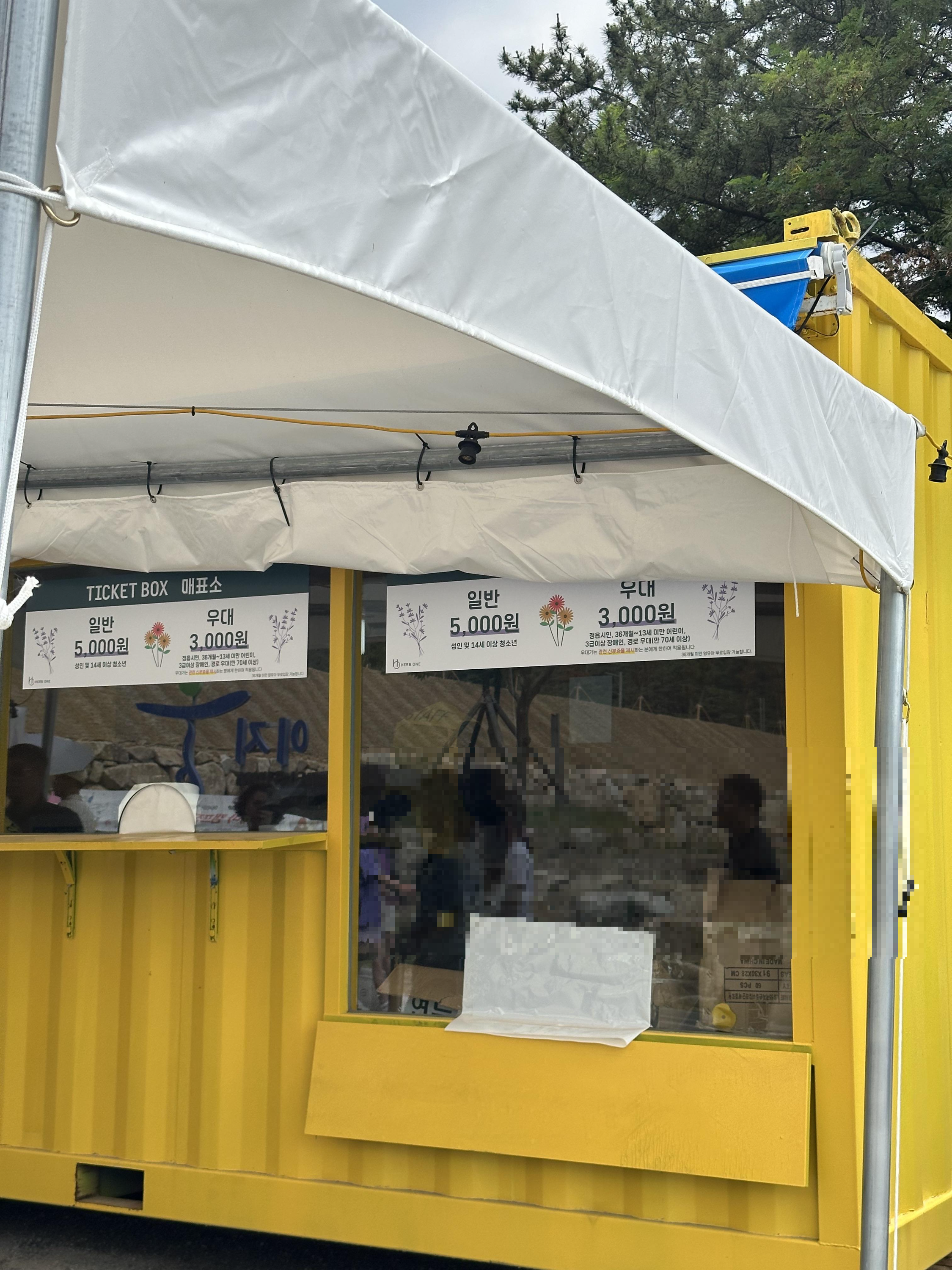 2024 정읍 허브원 라벤더 축제 