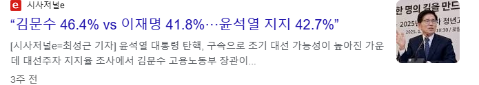 김문수 관련주