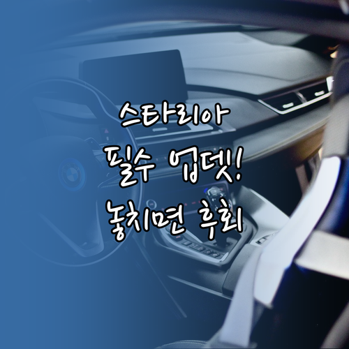 스타리아 네비게이션 최신 업데이트 필..