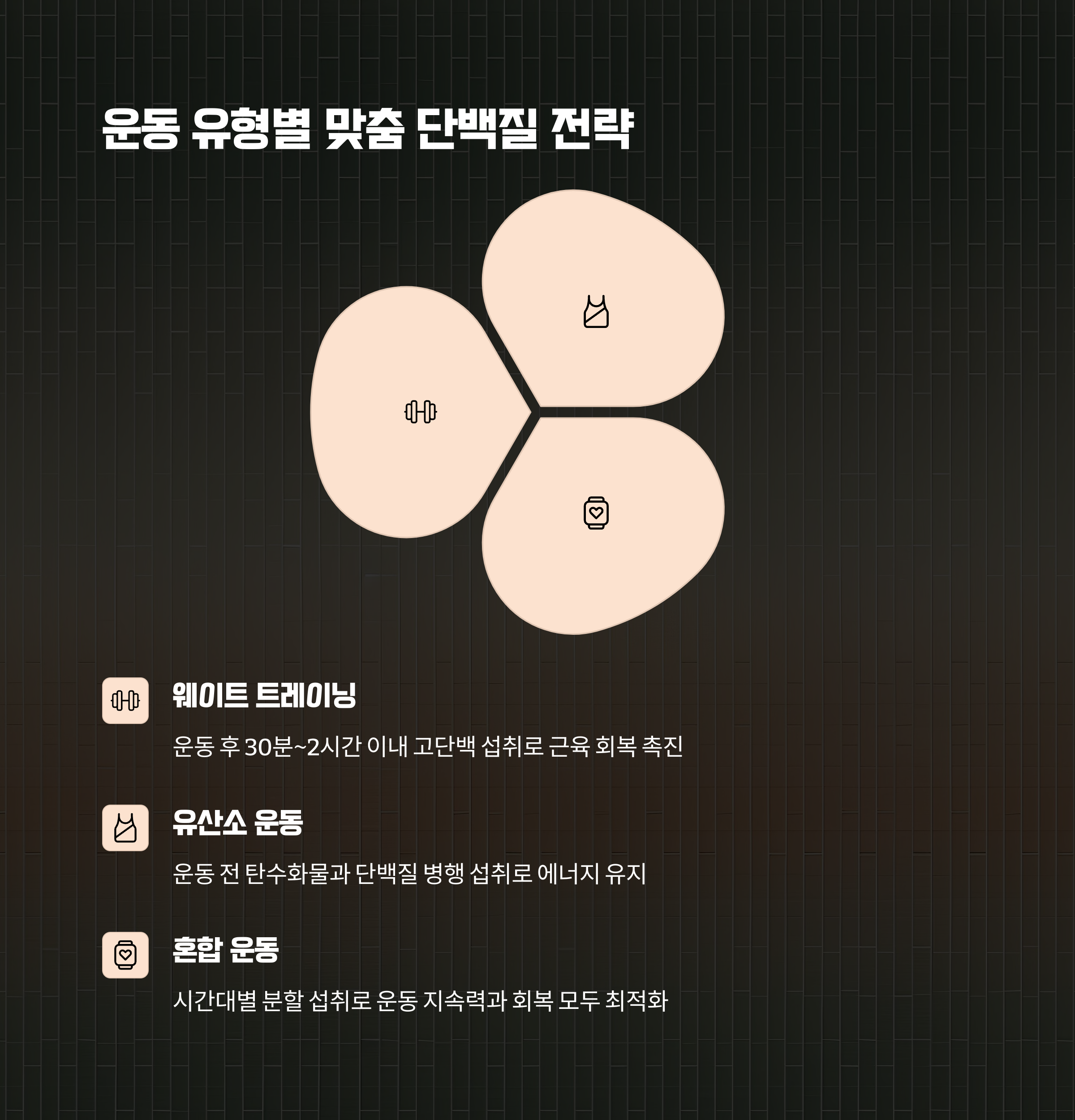 운동 종류별 단백질 섭취법