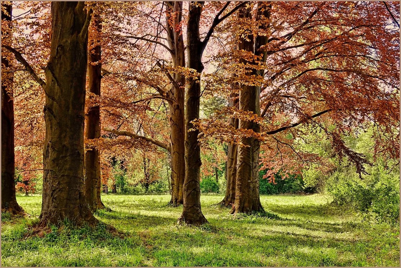 국민은행 정기예금 금리