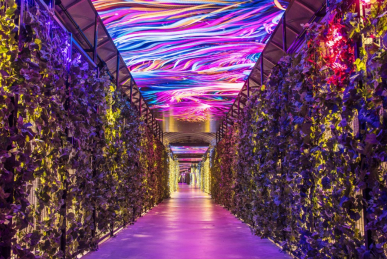 수양개빛터널-전경