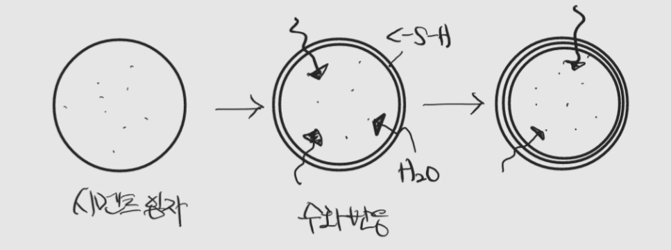 수화반응