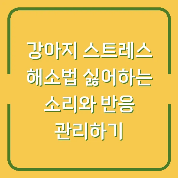 강아지 스트레스 해소법 싫어하는 소리와 반응 관리하기