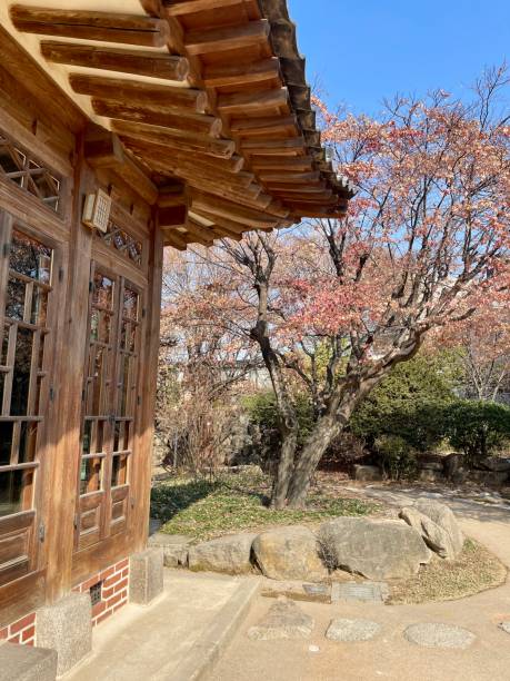 충북 벚꽃 명소 베스트10 벚꽃축제 여행 꿀팁 정리