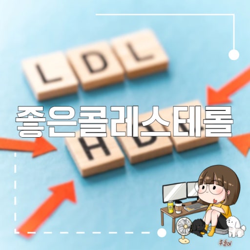 콜레스테롤 관리 방법 알아보기