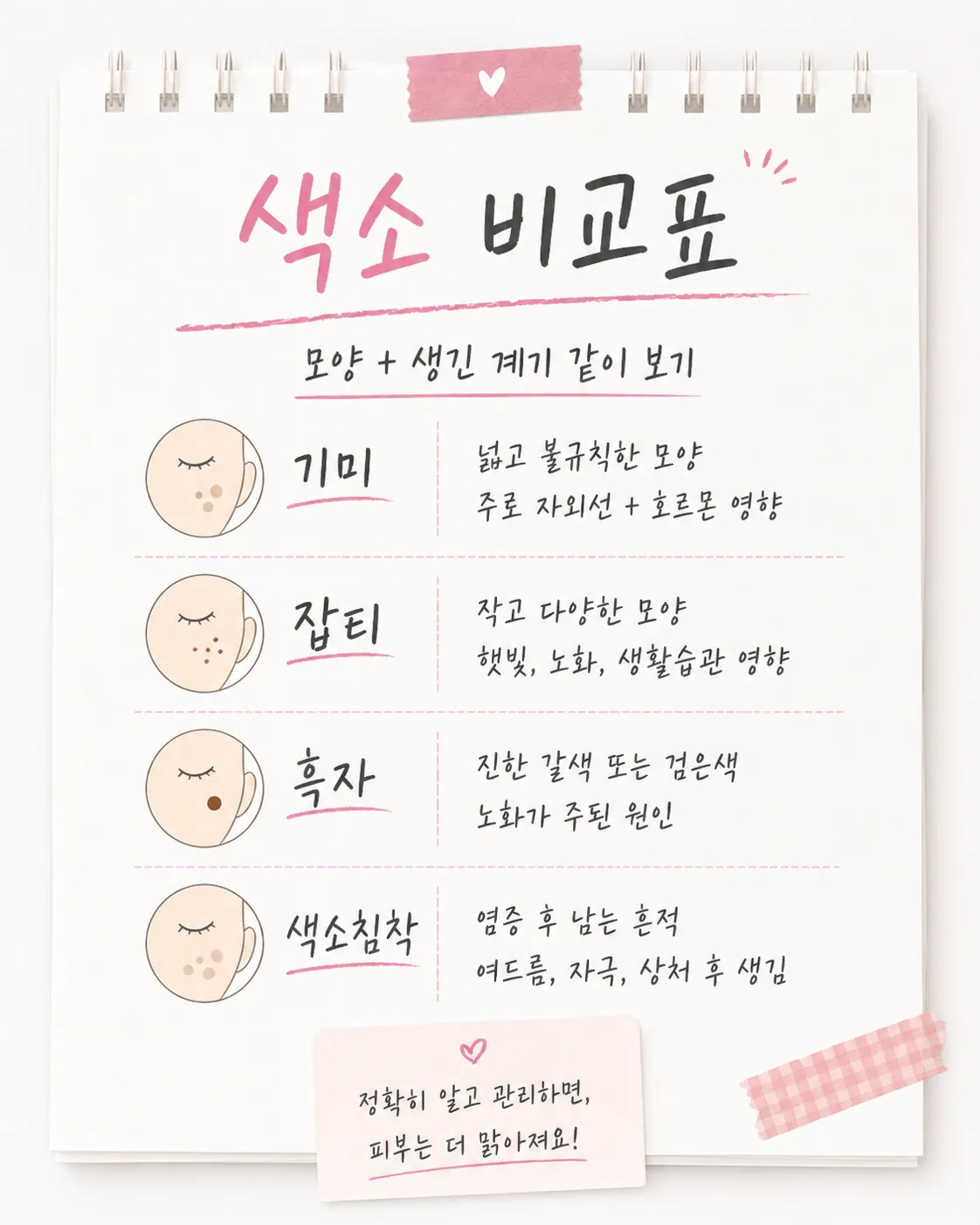 색소 유형별 비교표