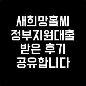 새희망홀씨_정부지원대출