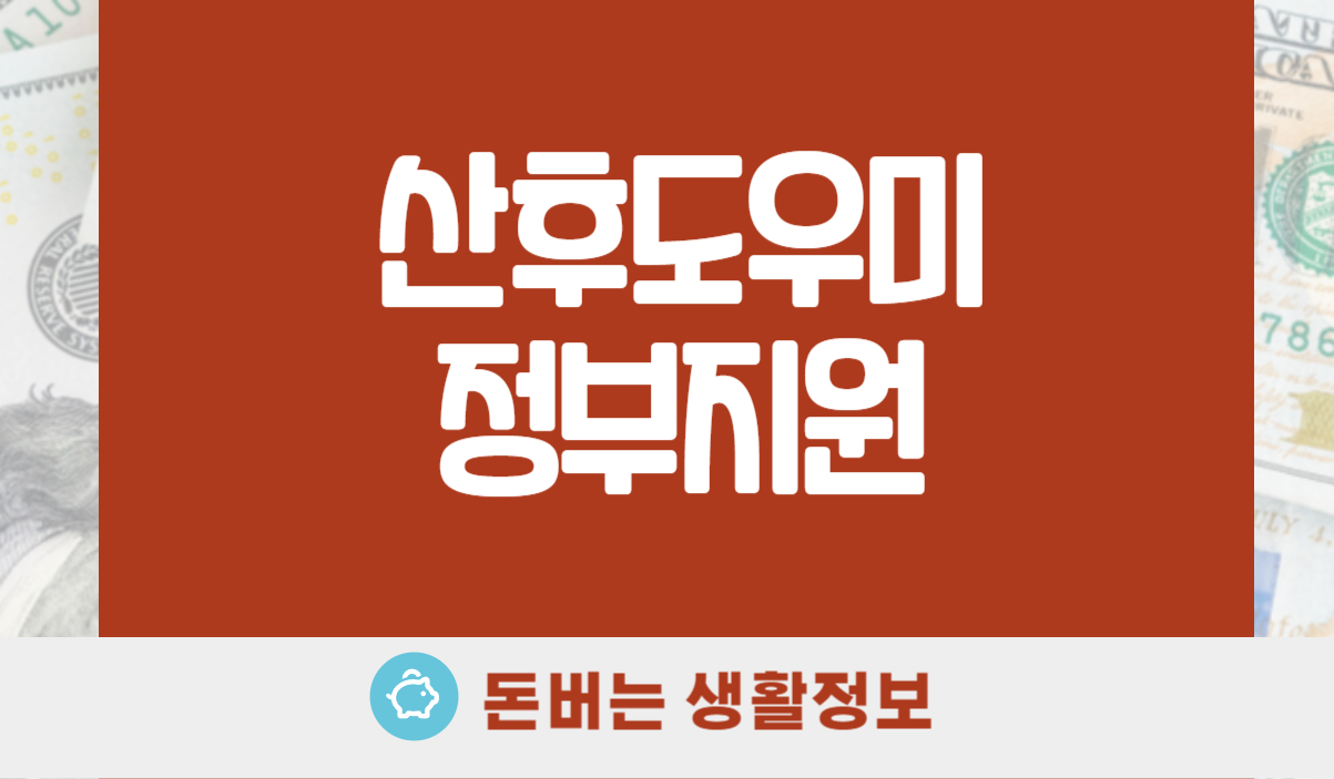 산후도우미 정부지원