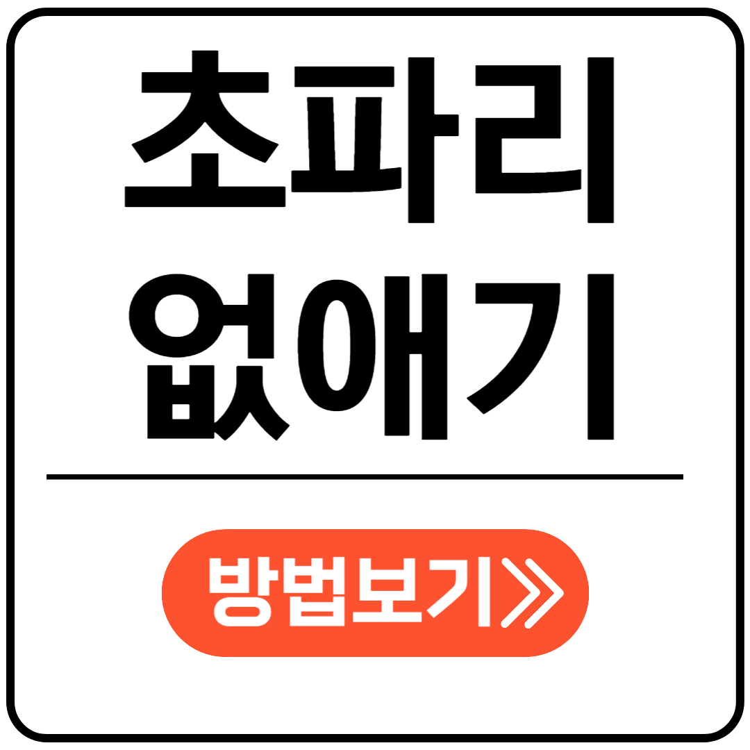 초파리 없애기 살충제 추천