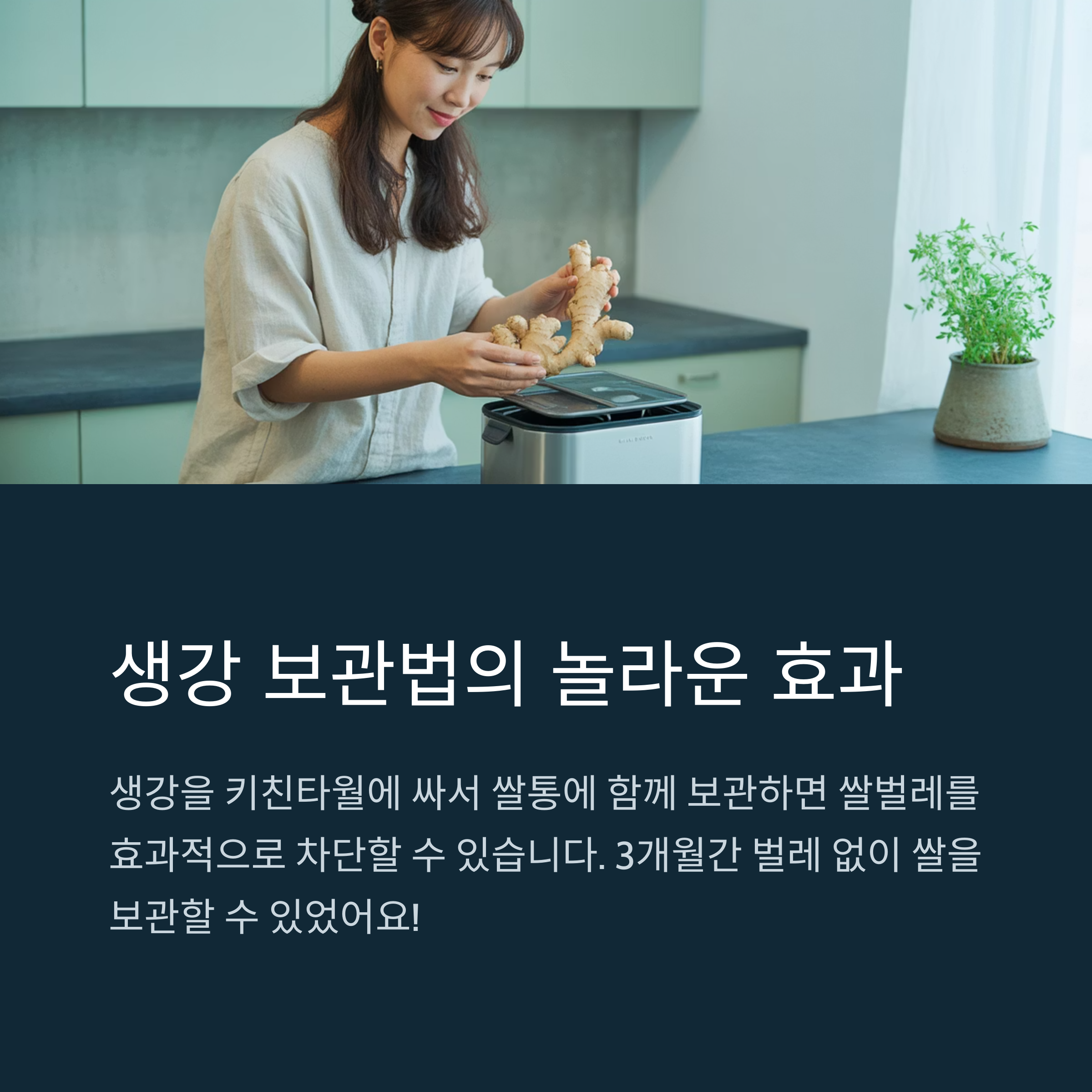 직접 써본 생강 보관법, 의외로 괜찮았어요
