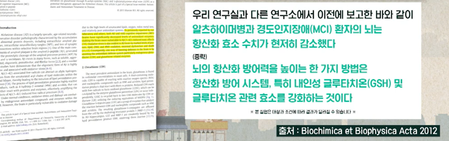 글루타치온 효능