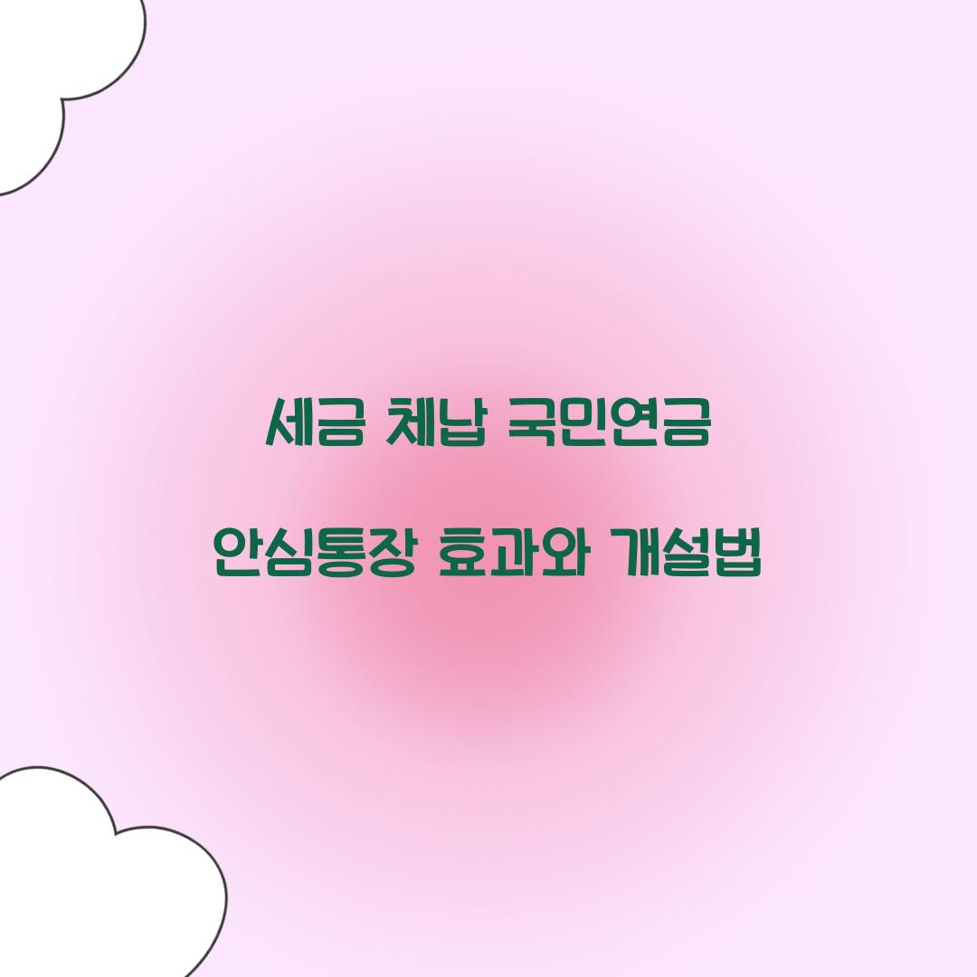 세금 체납 국민연금 안심통장