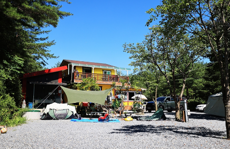 영월 숲속의아침오토캠핑장