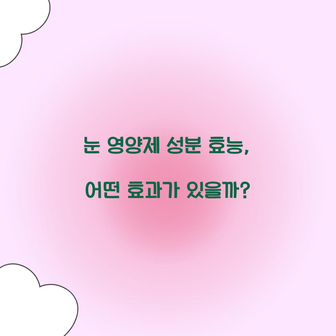 눈 영양제 성분 효능