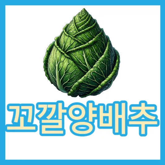 꼬깔양배추 원뿔양배추 10가지 효능 섭취방법 고르는방법 칼로리 비타민U