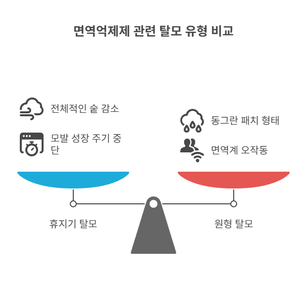 왜 탈모가 생길까? 면역억제제와 모발의 관계