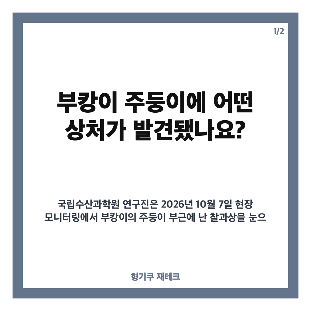 부캉이 주둥이 찰과상 확인, 부산 북항 수로에서 무슨 일이 있었나 카드뉴스 1