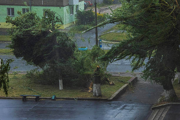 2025년 경기도청 풍수해·지진재해보험 완벽 가이드: 신청 방법부터 지원 혜택까지!!