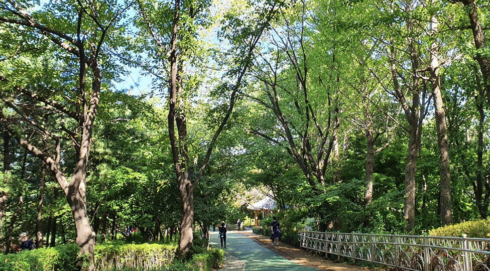 개운산공원 이미지