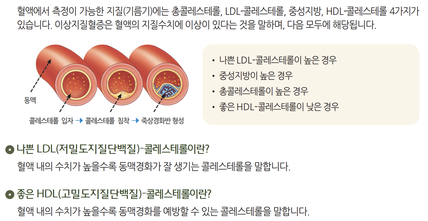 고지혈증