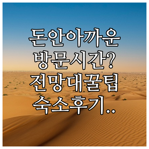 팜 주메이라 전망대 입장료 아깝지 않..