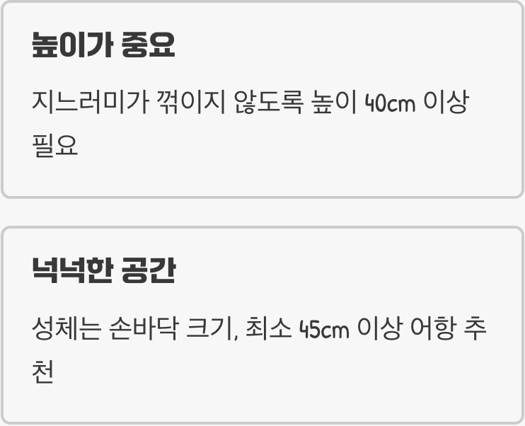 어항 선택 - '높이'가 있는 궁전을 주세요