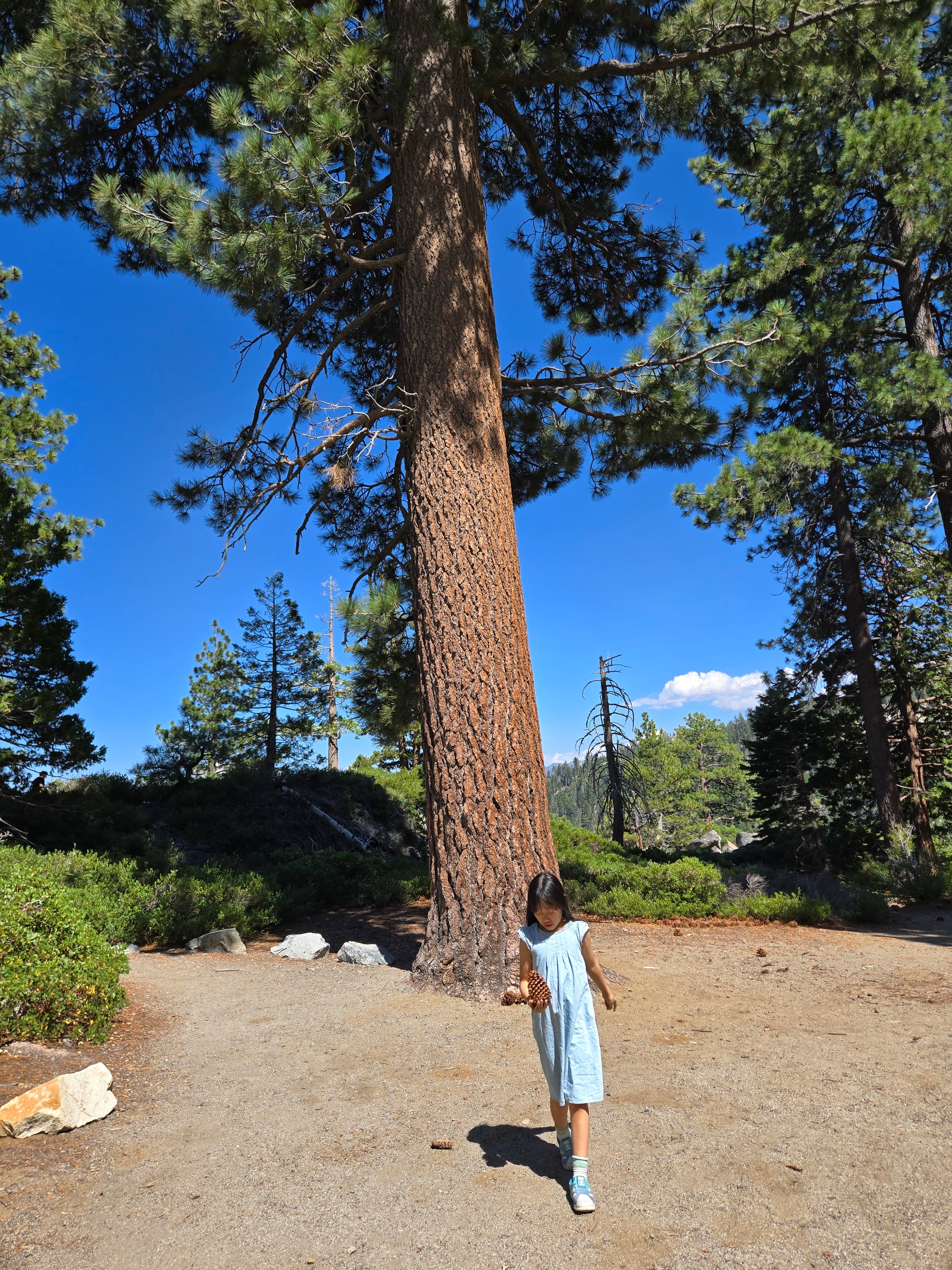 타호레이크 1박 2일 가족여행기 (1)- Family Trip to Lake Tahoe 관련사진