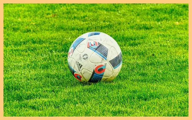 축구 결과 한국 팔레스타인 (하이라이트 동영상)