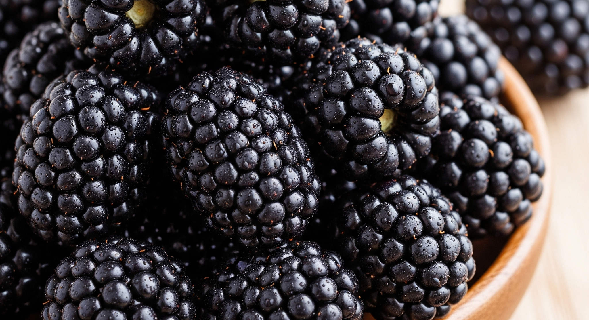 블랙베리 관련 이미지