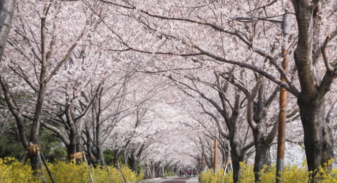 부산 맥도생태공원